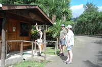 2007-12-10 15.52.47.JPG 